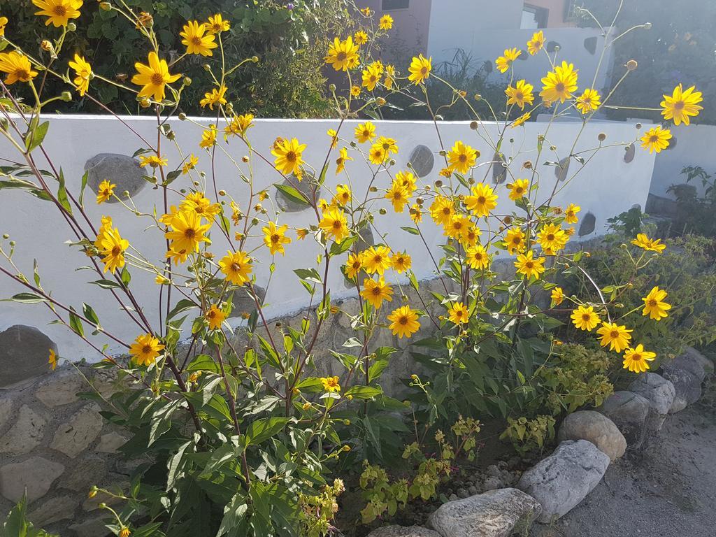 Melina'S Apartments Kalavarda ภายนอก รูปภาพ