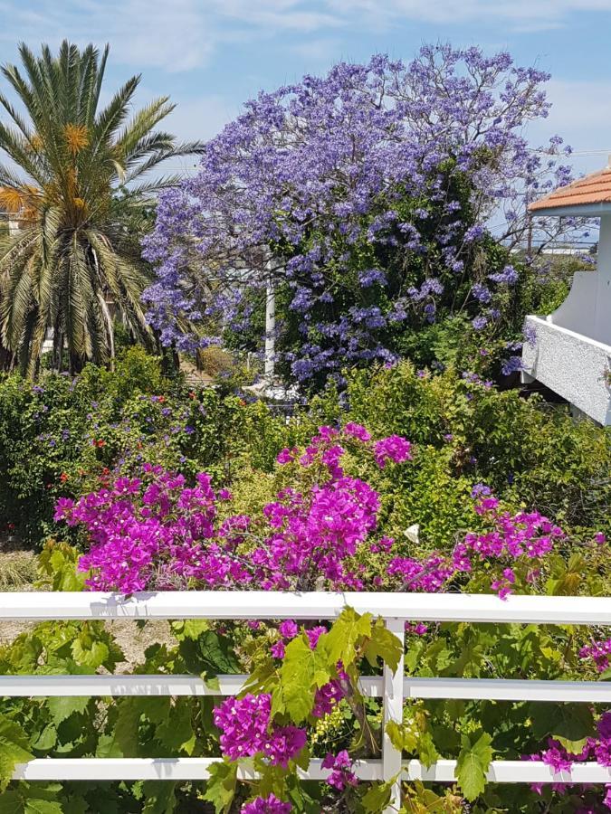 Melina'S Apartments Kalavarda ภายนอก รูปภาพ